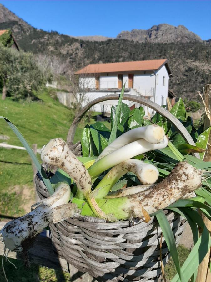 Agriturismo Grilla Villa Mele Ngoại thất bức ảnh